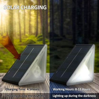Outdoor Solar Step Lights, Warm White &amp; RGB
